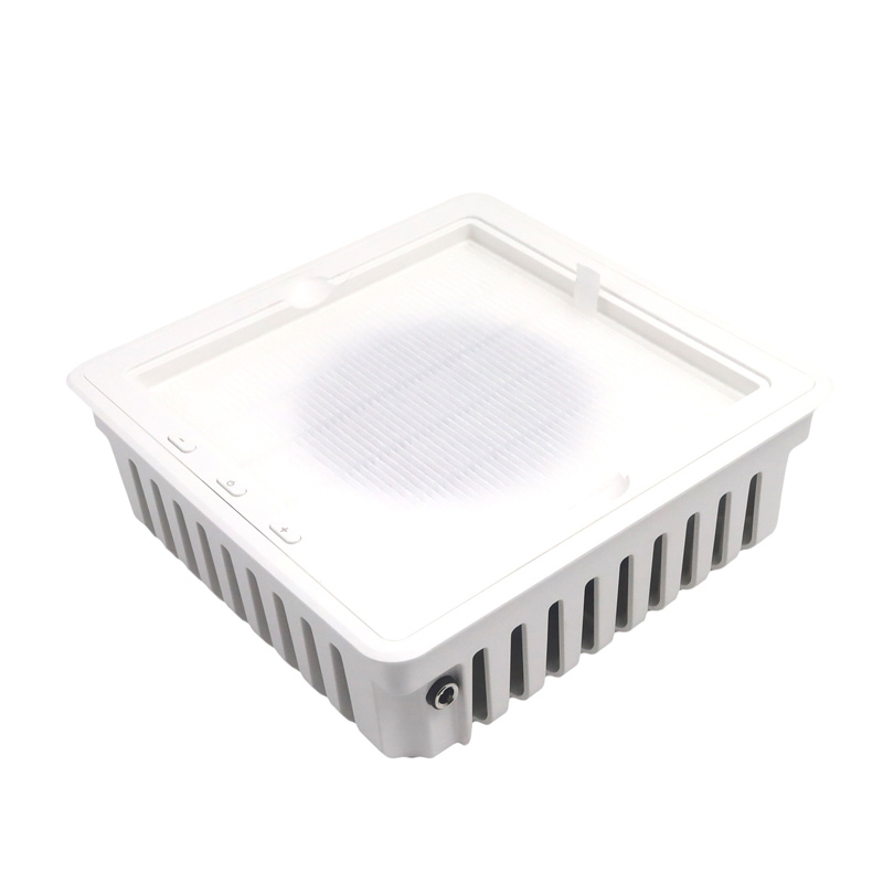 Afodaju Eetu aimojusi